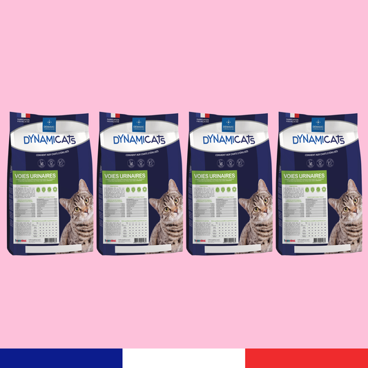 Dynamicats Voies Urinaires x4