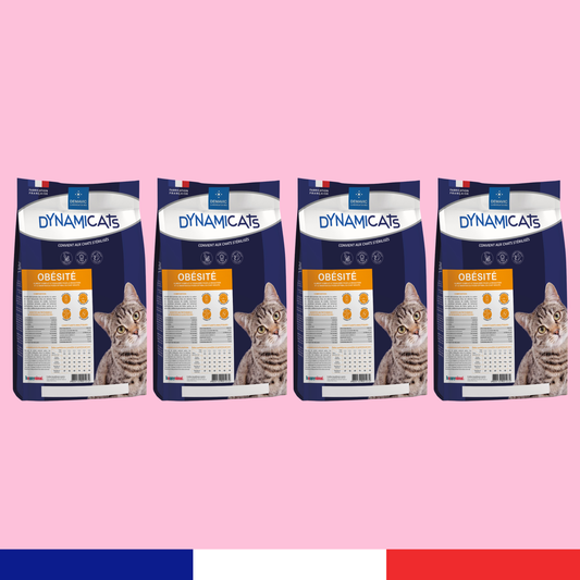 Dynamicats Obésité x4