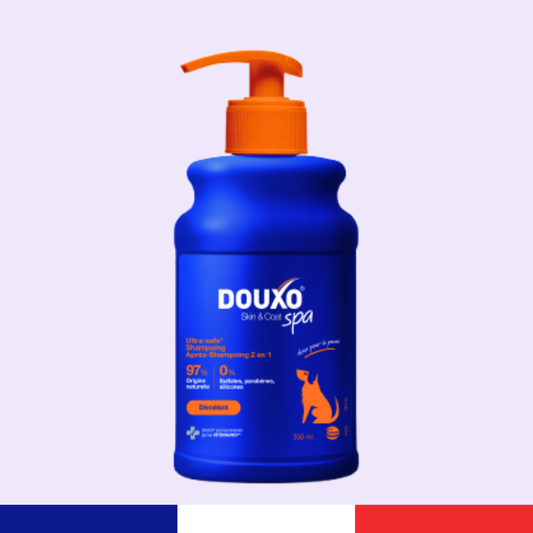 Shampooing 2 en 1 Démêlant