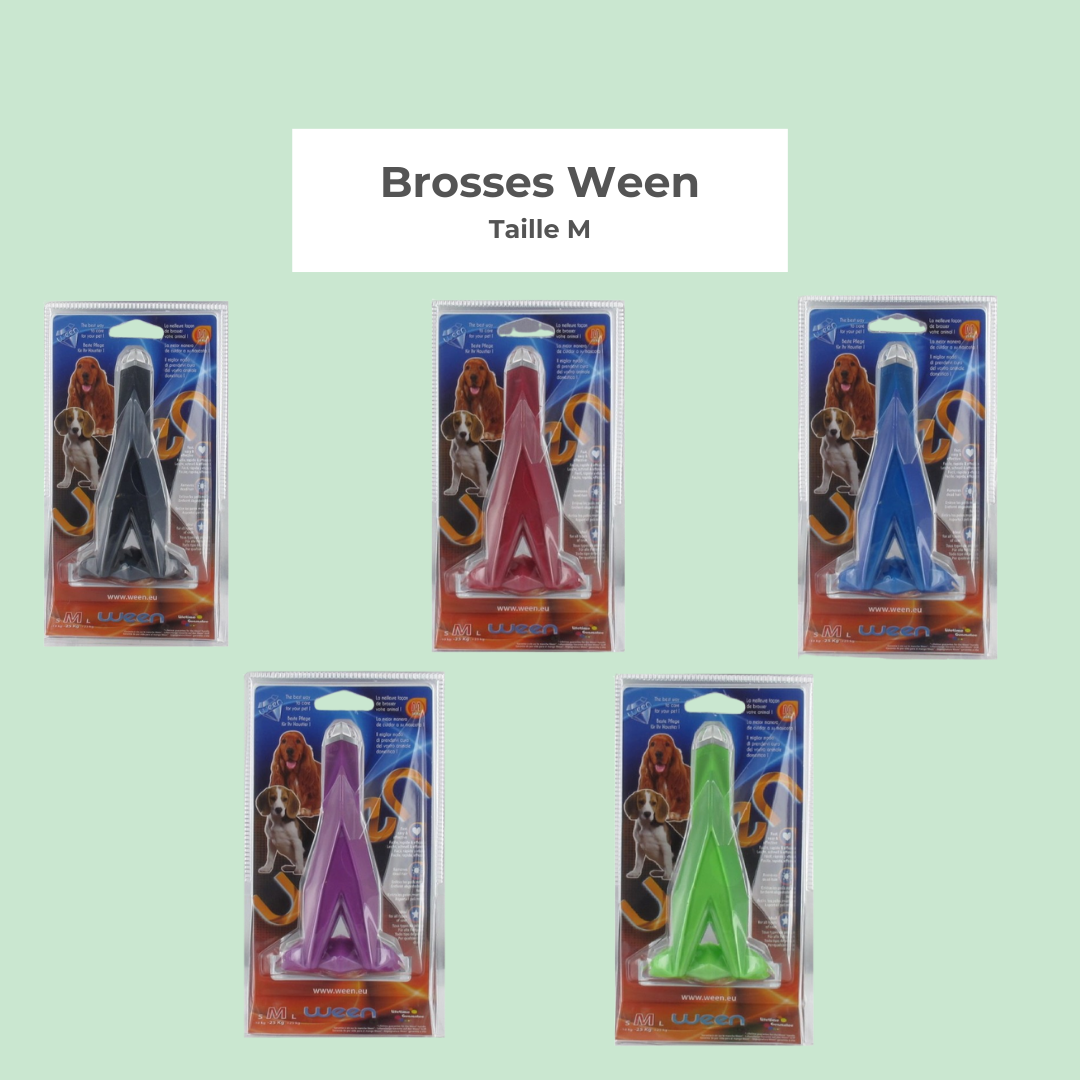 Brosse Ween M