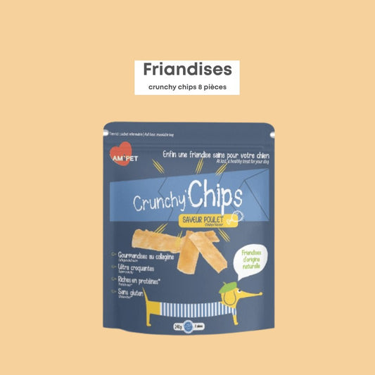 Crunchy Chips