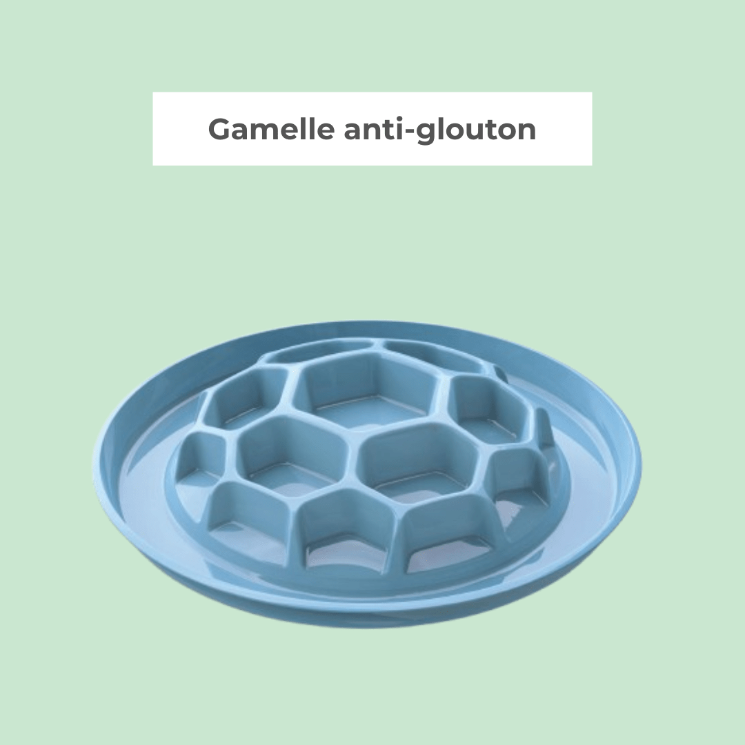 Gamelle Anti-Glouton