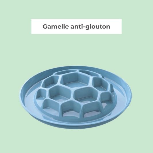 Gamelle Anti-Glouton
