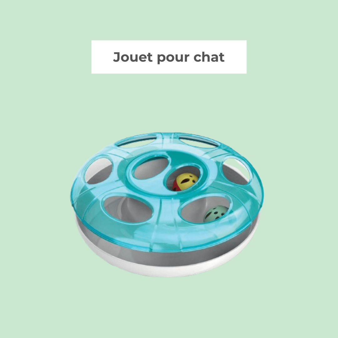 Jouet interactif