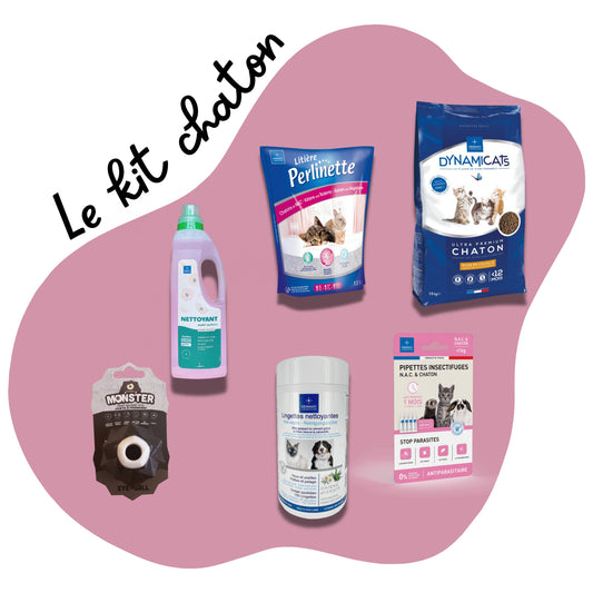 Kit chaton