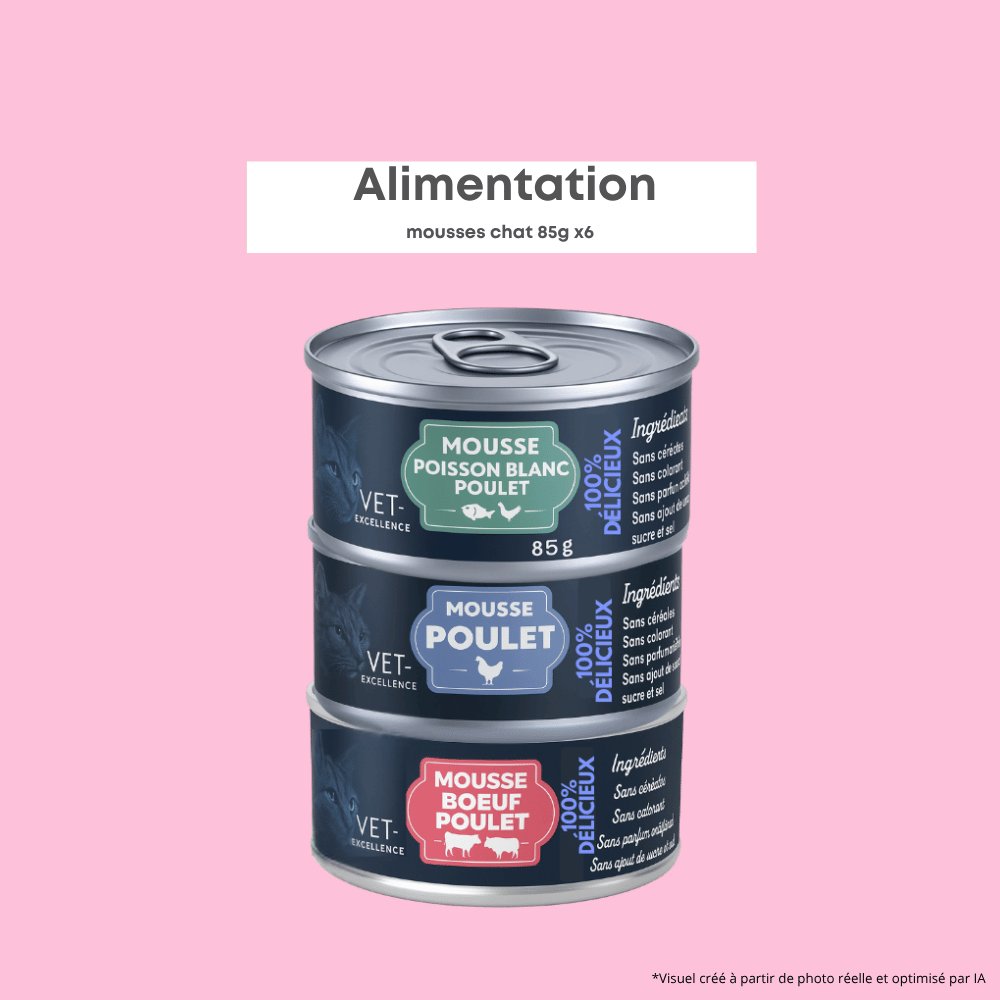 Mousses Chat (x6)