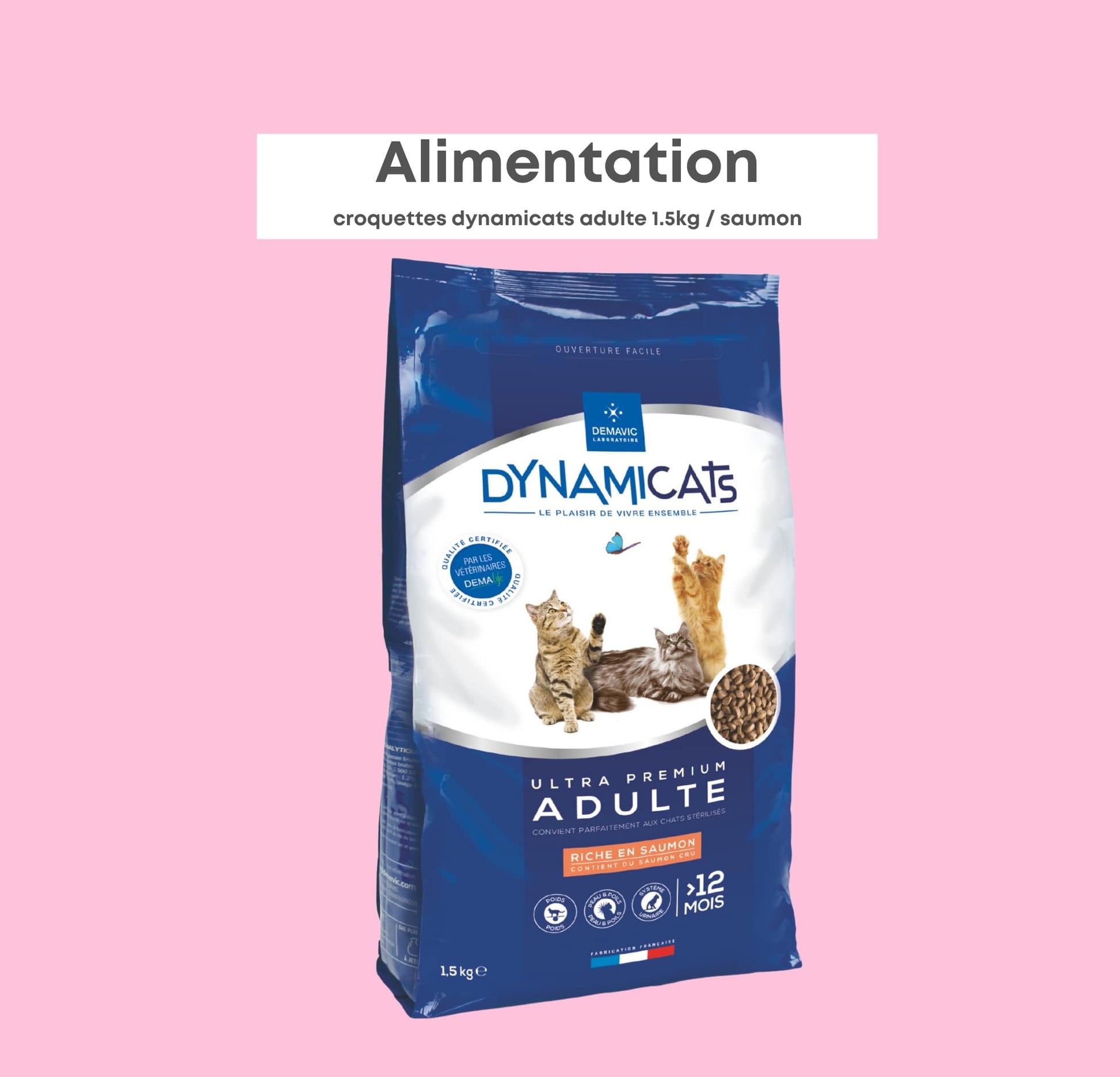 Dynamicats Adulte Saumon