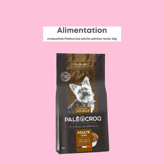 Paléocroq Petites races