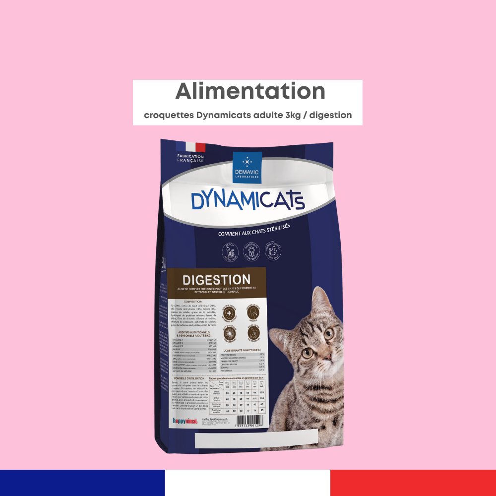 Dynamicats Digestion