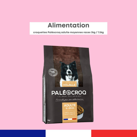 Paléocroq Moyennes Races