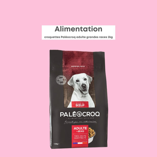 Paléocroq Grandes Races
