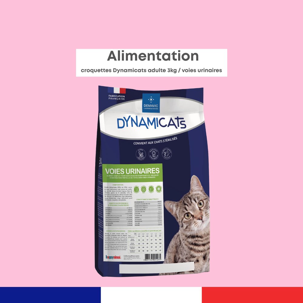 Dynamicats Voies Urinaires